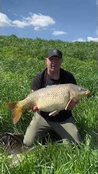 První jarní rybaření na řece Moravě 🎣⛅️ #carpfishing #rybářskévideo #lovryb #velkýkapr