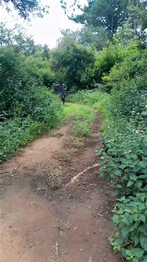 tavapaHondo Lunga naNakamba tirikuuyako #afcon2025🇲🇦 #zimtiktokers🇿🇼🇿🇼🇿🇼 #morocco🇲🇦 #zimbabwe #afcon2025