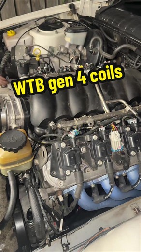 WTB 6L coils for LS swap