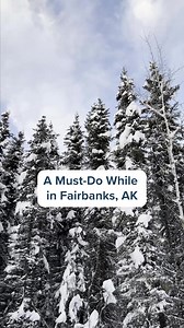 41K views · 1.3K reactions | Looking for a unique experience while visiting Alaska this winter? Try spending a day in Explore Fairbanks Alaska while hanging out with reindeer at the Chena Outdoor Collective + University of Alaska Fairbanks’ Large Animal Research Station.  | Travel Alaska | Facebook