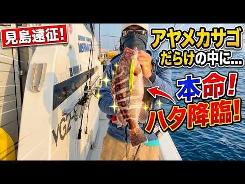 スロージギング日記＃１０１〜カサゴだらけの中でマハタを釣る！〜