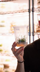 1.5K views · 46 reactions | When people think of plant science, they...