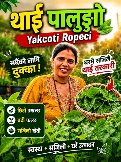 Kausik Heti Nepali Farming Tips 2026