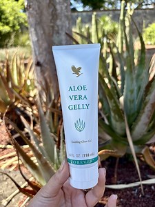 I don't know what I'd do without my Aloe Vera😭 Aloe Vera Gelly moisturises, conditions and soothes, making it perfect for after-sun care and lubricating sensitive tissue🌞 This back-to-basics formula embraces the power of aloe in its purest form✨ #ForeverLivingProducs #AloeVeraGelly #SummerSaviour #SkinCare #PowerOfAloe | Forever Living Products Australia
