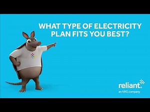 Reliant | What Type of Electricity Plan Fits You Best?