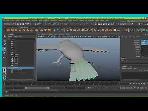 How to model a 3D bird & feather in maya 2020 for beginner tutorial part-02