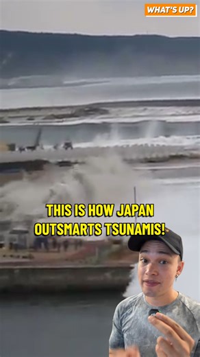 This is How Japan Outsmarts Tsunamis! | What’s Up Tony?