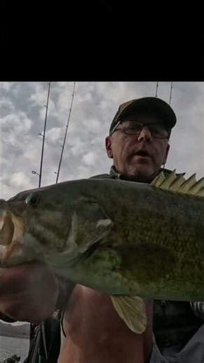 My PB smallmouth 4.2 lbs at Mead #smallmouthbass#fishing