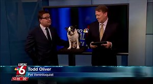 11K views · 32 reactions | Ever seen a talking dog? We had Irving and his owner Todd Oliver on Local 6 Midday. They'll be performing this weekend at Badgett Playhouse in Grand Rivers. | WPSD-TV | Facebook