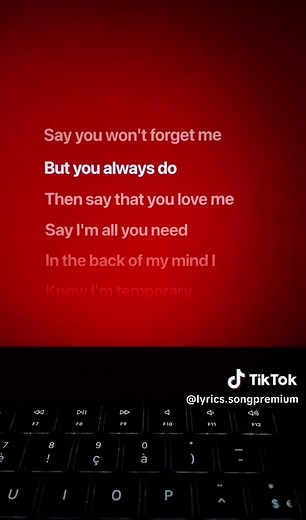 The visitor #thevisitor #siennaspiro #lyrics #song | songs