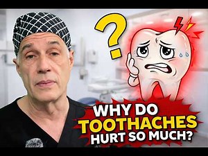 Why Do Toothaches Hurt So Much?