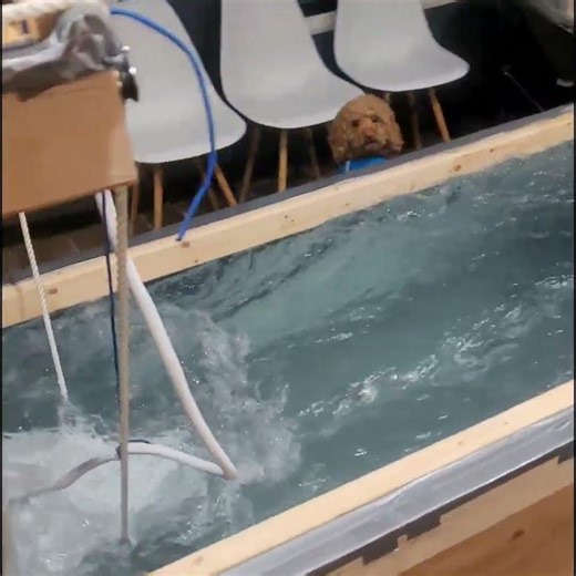 PORTABOW Water Tank Test — VESC Tuning