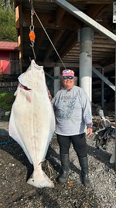 77 reactions · 14 comments |  New Lodge Record Alert!  153 lbs of halibut and the biggest catch of all time! This sea giant will be one for the books  #SalmonRunFishingLodge #HalibutHeaven #AlaskaFishingLodge #LodgeRecord #BigCatch #CatchOfTheDay #AlaskaFishing #RemoteAlaska #FishingTrip #AnglersParadise #FishingCommunity #FishingGoals #BucketListFishing #SelfGuidedFishing #WildAlaska | Salmon Run Fishing Lodge | Facebook