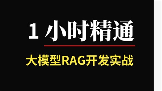 这可能是B站讲的最好的大模型RAG实战教程，从0开始手把手带你结合企业级项目实战完成一套完整的RAG系统开发，让你少走99%弯路！增加检索/文本向量/知识库搭建_哔哩哔哩_bilibili
