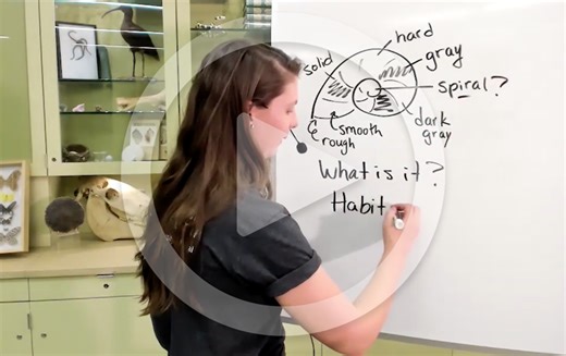 Science and Engineering Practices Videos