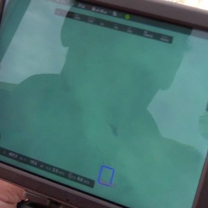 5.9K views · 57 reactions | Sharks and humans will be able to swim...