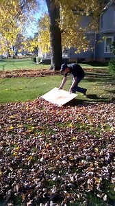 48K views · 373 reactions |  GARDEN HACK: Who needs a rake when we have Plywood!  Video via Good Housekeeping | Buyinvite | Facebook
