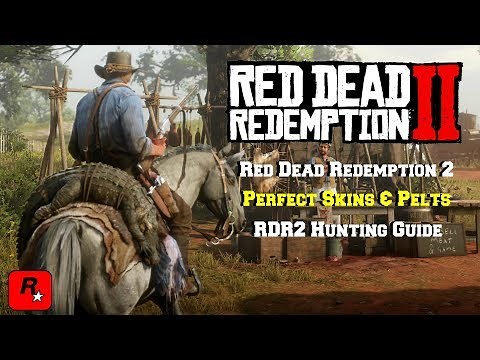 Red Dead Redemption 2 | Perfect Skins & Pelts | RDR2 Hunting Guide | How To Get Perfect Skins