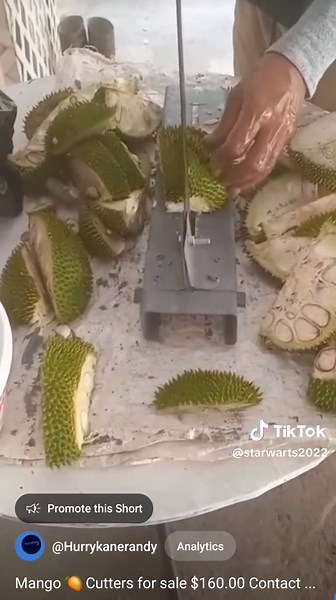 Quality Mango Cutters Available for Sale