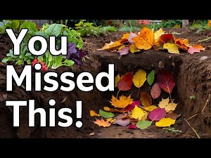 The Forgotten Soil Secret “Un Composting” Guarantees a Bountiful Harvest Leaf Pit Method