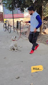#Max... | Siddhant Singh
