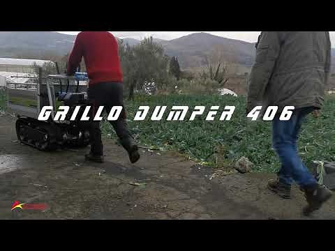 Dumper Grillo 406 | Dimostrazione Motocarriola cingolata 400kg