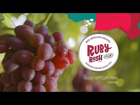 Sun World's RUBY RUSH® Grapes