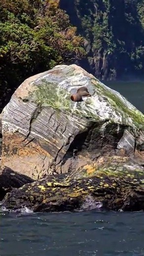 Exploring the Stunning Beauty of Milford Sound