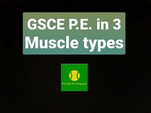 Muscle types | revision in 3 minutes | GCSE PE in 3