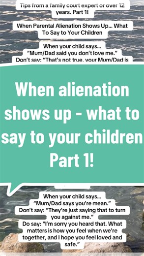 3.2K views · 2.4K reactions | Tips from a family court expert or over...