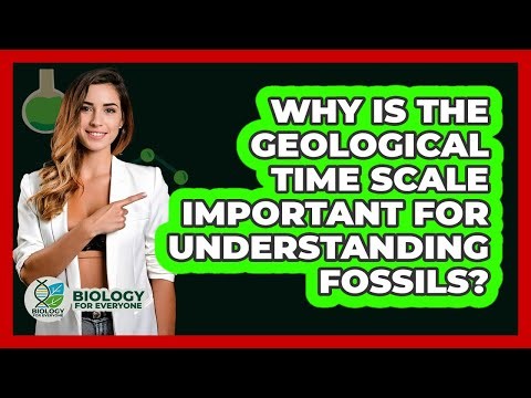 Why Is The Geological Time Scale Important For Understanding Fossils? - Biology For Everyone