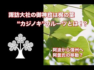 【諏訪大社の御神紋🙏】「梶の葉紋」に描かれた植物 カジノキの由来に迫る🌱阿波国（徳島）と信州をつなぐカジノキ。阿曇氏がカジノキを携えて安曇野へやってくる⁉️