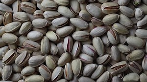 Pistachios texture and background. Pile pistachio kernels nuts with shell, rotate, close up. Pistachio nuts. Whole nut kernels
