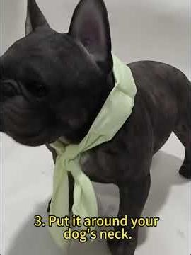 Custom Dog Cooling Bandana for Summer Pet Brands
