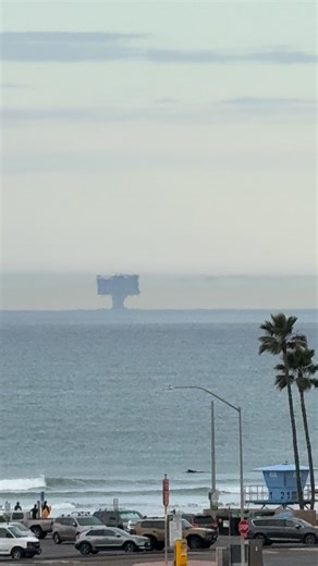 Saw this today off Oceanside California. | Edward O'Connor