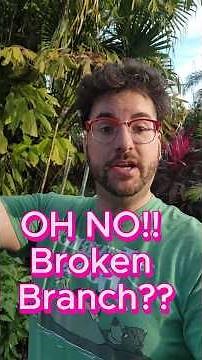 🌱 How to Save a Broken Plant Branch & Grow a New Plant!
