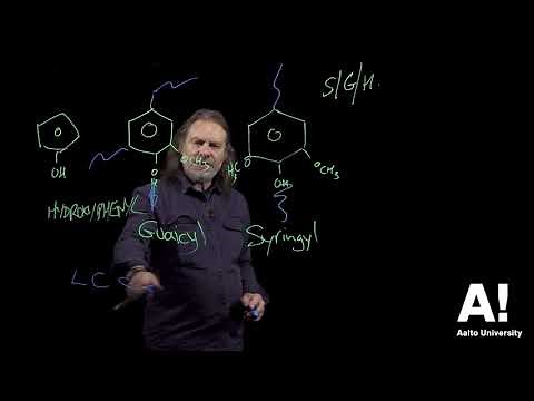 Wood chemistry (9) Lignin S/G ratio, lignin carbohydrate complex