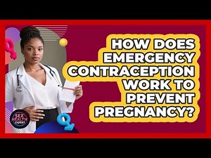 How Does Emergency Contraception Work To Prevent Pregnancy?