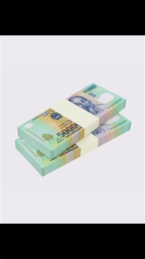 @INTRONONEY on Instagram: "VIETNAMESE ĐỒNG – A NOTE THAT TELLS A STORY The Vietnamese đồng (₫), the official currency of Vietnam, was first introduced in 1946 by the North Vietnamese government after gaining independence from French colonial rule. After the reunification of North and South Vietnam in 1975, the đồng became the sole currency of the country. Due to high inflation in the 1980s, Vietnam issued larger denominations — which is why today’s notes go as high as 500,000₫. All modern Vietna