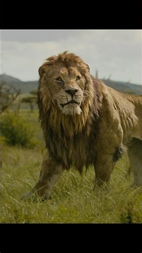 The Son He Left for Dead Became His Worst Nightmare | Kraven’s Brutal Origin