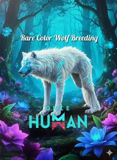 Breeding rare color wolf Once Human