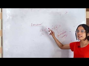 Basic Principles of Classical Conditioning | LEARNING | UGC Net Psychology