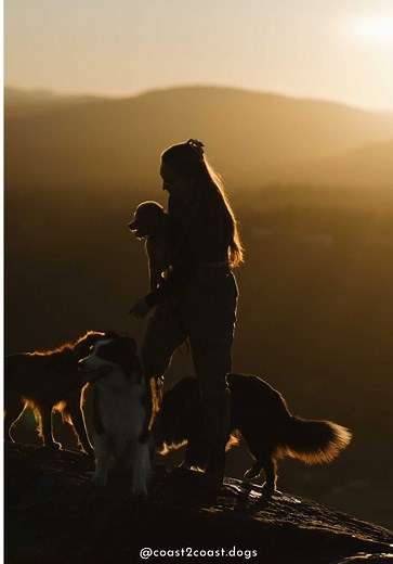 We definitely planned for one dog in our 20s.⁠ And then somehow ended up adding one every year until this year. 😂⁠ So yes, we are done… for now.⁠ ⁠ Sometimes it’s absolute chaos. Sometimes I look around, wondering what on earth I’ve gotten myself into. But the truth is, I wouldn’t be who I am or where I am without my dogs.⁠ ⁠ They haven’t just opened my heart. They’ve opened doors for me. They’ve given me a career, direction, and dreams I never would’ve had without them. They changed my entire