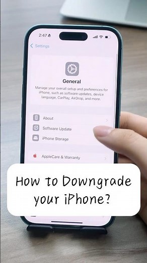 😎How to Downgrade iOS18/17? Full Guide Here!#fyp