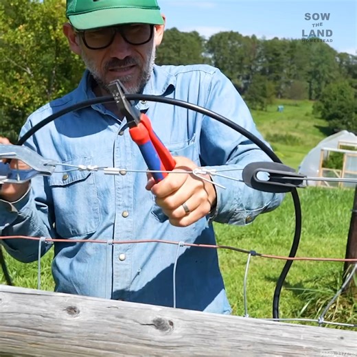 91K views · 1.2K reactions | Installing a Hot Wire to Keep Dogs OUT #FarmLife #Farming #Dogs #PredatorProtection | Sow the Land | Facebook