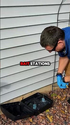 Best Way to Get Rid of Mice for Good | Mouse Clean-Out vs Prevention