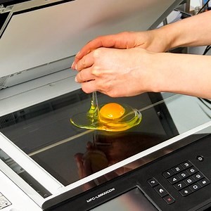 426K views · 905 reactions | Delicious Breakfast Ideas With Eggs | JOON | Facebook