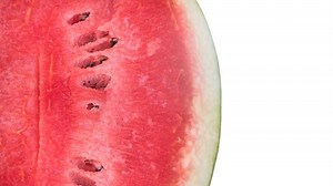 Oldest plant genome on record came from a Stone Age watermelon that grew in the Sahara
