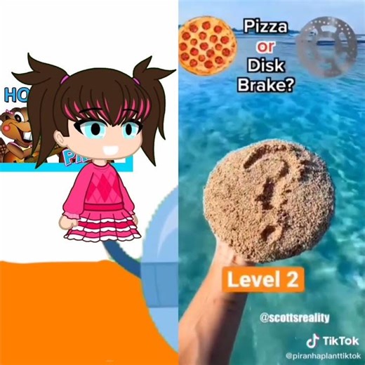 Mentos Or Dog Poop? with Alice