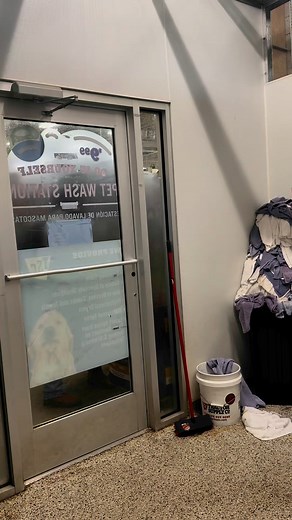 Bathing this guy feels like washing an ‘02 Honda #americanbully #lifestyle #reels | Jahshawun Youmans